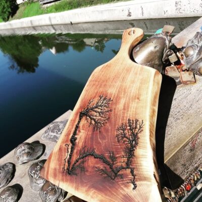 Wood burning-strela v lesu