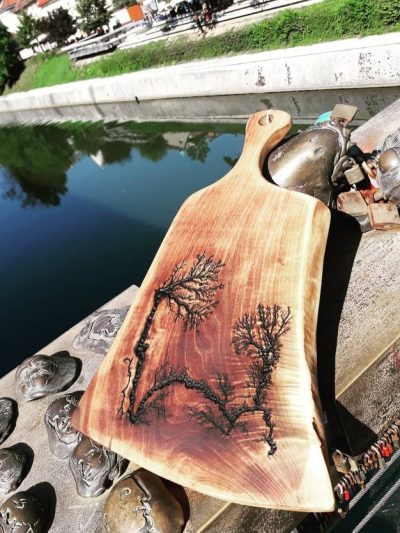 Wood burning-strela v lesu
